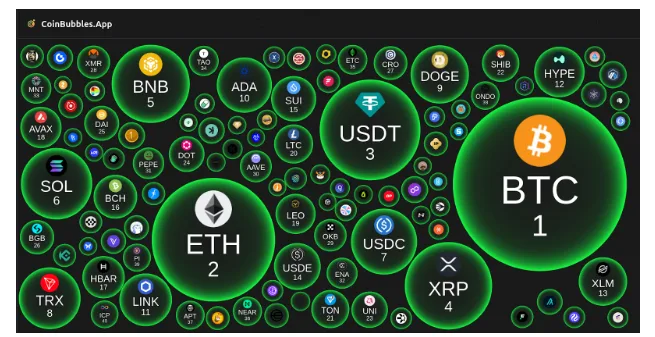CoinBubbles.App запускає легку платформу для візуалізації в режимі реального часу