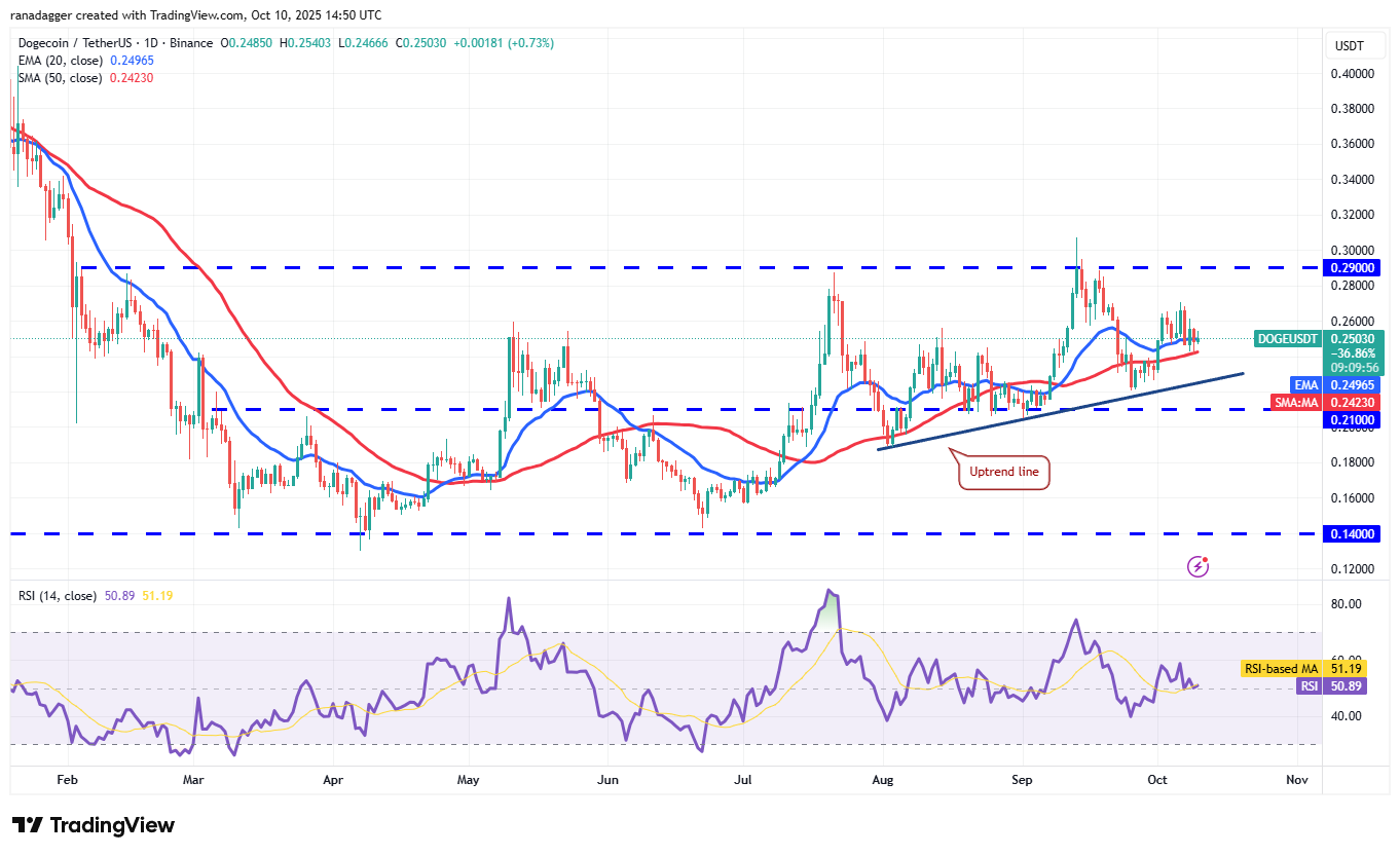Dogecoin, криптовалюти, ціна біткойна, XRP, ринки, обмін криптовалют, кардано, аналіз цін, монета Binance, ланцюг, аналіз ринку, ціна ефіру, Солана, Суї