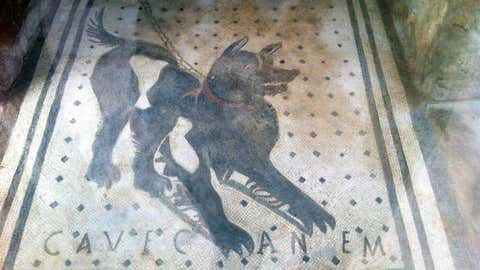 ostanni dni pompeyi predstavleni na novij vystavczi Останні дні Помпеї представлені на новій виставці